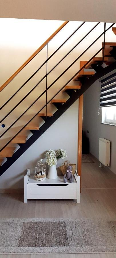 Apartmani Fenestra Tesla I Faust Otocac Luaran gambar