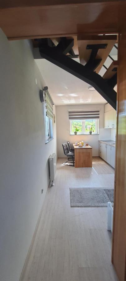 Apartmani Fenestra Tesla I Faust Otocac Luaran gambar