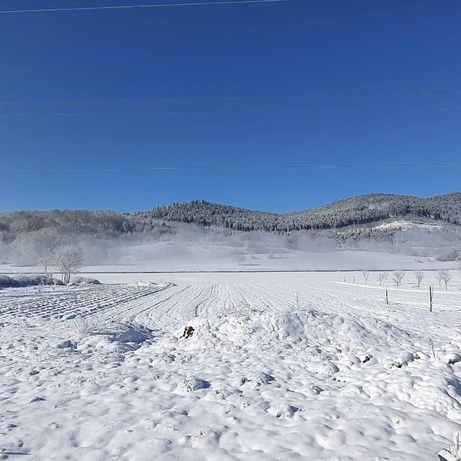 Apartmani Fenestra Tesla I Faust Otocac Luaran gambar