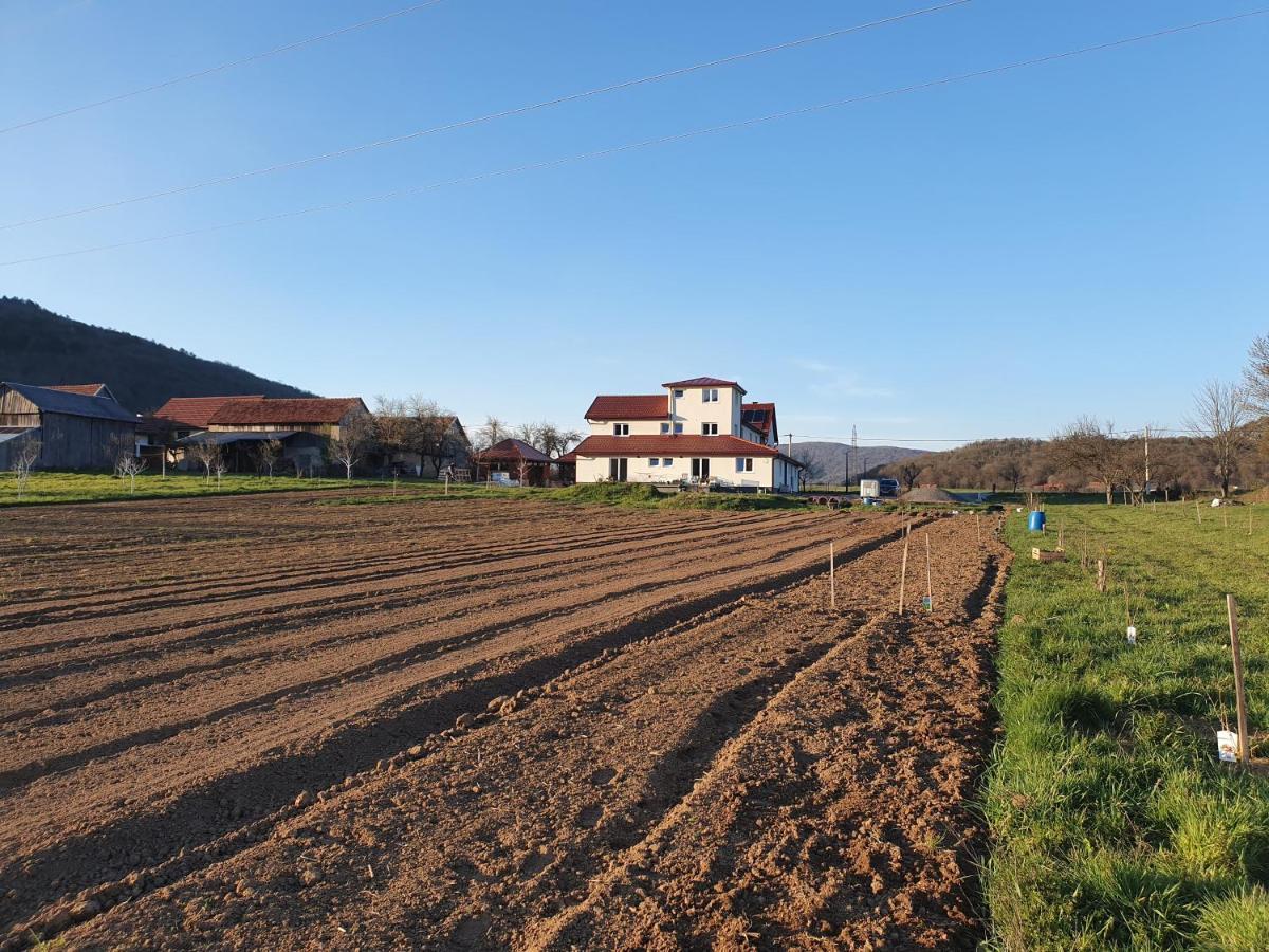 Apartmani Fenestra Tesla I Faust Otocac Luaran gambar